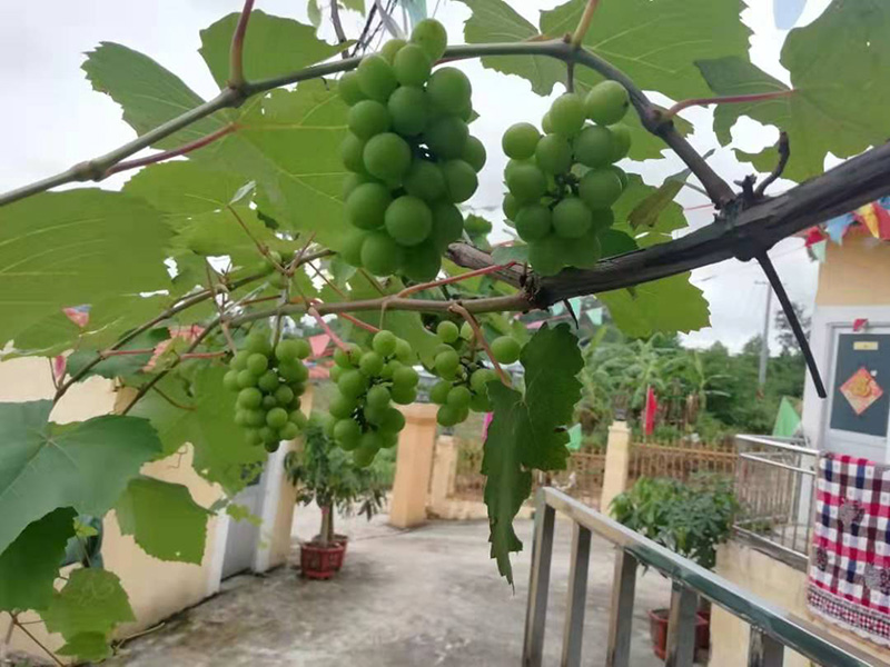 玉林佰健养老院院内环境