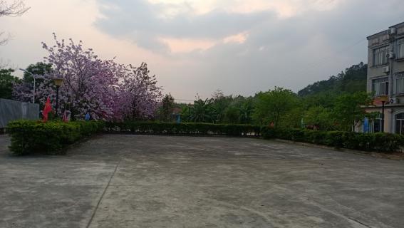 佛善安养院前院西面操场